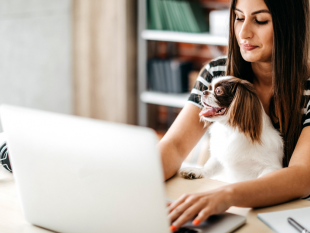 regione-dipendenti-dellassessorato-territorio-e-ambiente-apre-agli-animali-daffezione-in-ufficio