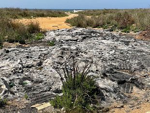 oasi-di-capo-feto-nelle-scorse-ore-bruciate-numerose-lastre-di-vetroresina