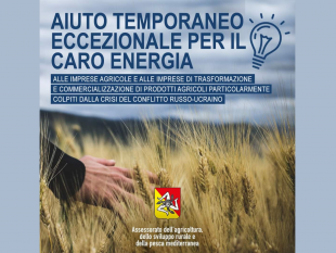smargerita-approvati-gli-aiuti-temporanei-per-il-caro-energia-delle-imprese