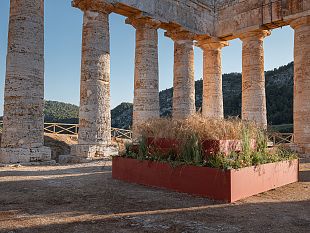 il-2-marzo-ingresso-gratuito-al-parco-archeologico-di-segesta