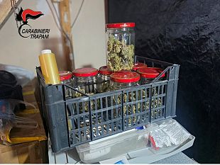 coltivava-marijuana-in-un-appartamento-arrestato-un-uomo-a-trapani
