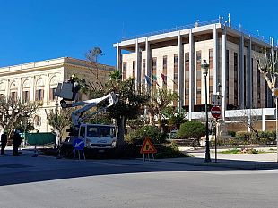 trapani-ripresa-la-potatura-degli-alberi