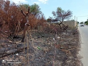 abbandono-e-incendio-di-rifiuti-lamn-castiglione-sporge-denuncia-contro-ignoti
