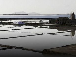 la-riserva-negata-le-liste-pro-grillo-contro-lambientalismo-ideologico