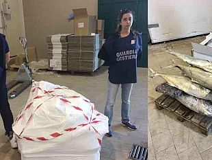 mazara-capitaneria-di-porto-sequestra-oltre-250-kg-di-prodotti-ittici-irregolari