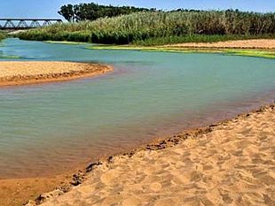 belice-o-belice-impariamo-a-difendere-i-nostri-vocaboli-dalle-invasioni-linguistiche