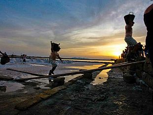 inizia-domani-a-nubia-l-ottava-edizione-di-rosso-aglio-e-bianco-sale