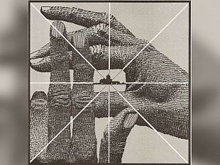 trapani-saranno-festeggiati-i-40-anni-del-circolo-del-cinema