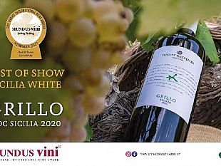 pioggia-di-medaglie-per-cantine-ermes-tenute-orestiadi-al-concorso-internazionale-mundus-vini