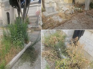trapani-al-cimitero-spettacolo-desolante-di-abbandono-totale