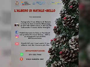 torna-lalbero-di-natale-piu-bello-al-via-la-vii-edizione-del-concorso-fotografico-a-vita