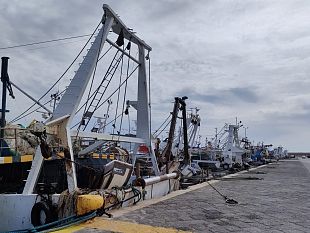 mazara-pesca-aiuti-emergenza-covid19-dalla-regione-aiuti-a-75-barche