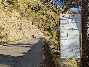 chiusura-strada-provinciale-1-a-montelepre-terranova-criticita-da-affrontare-e-risolvere