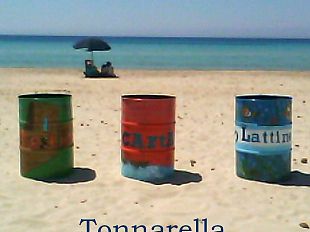 e-se-in-tutti-i-lidi-cittadini-i-bellissimi-fusti-artistici-per-i-rifiuti