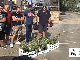 video-volontari-di-avamposto-verde-puliscono-banchina-del-fiume-mazaro