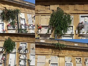 mazara-cimitero-comunale-loculi-arredati-a-verde-anche-capperi-la-segnalazione-di-un-cittadino