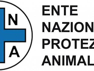 lenpa-mazara-risponde-allassociazione-pro-capo-feto