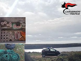 trapani-sorpresi-a-raccogliere-ricci-in-area-marina-protetta-denunciati-dai-carabinieri