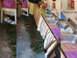 maxi-sequestro-di-marijuana-la-polizia-ad-alcamo-sequestra-16-chilogrammi-di-marijuana-ed-arresta-una-coppia-di-coniugi