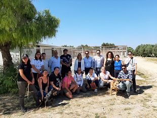 lamministrazione-patti-ringrazia-le-associazioni-animaliste-in-servizio-al-canile-comunale