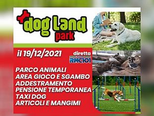 marsala-nuovo-parco-per-i-cani