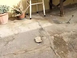 mazara-pietre-e-bottiglie-lanciate-allinterno-di-abitazioni-di-via-dellannunciazione-problema-sicurezza-in-citta