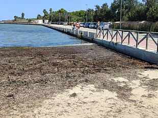 pulizia-odierna-spiaggetta-di-villa-genna