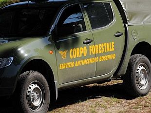 mazara/forestali-ugl-lars-sblocca-64-milioni-per-contrasto-incendi-in-sicilia