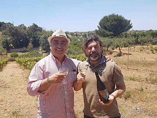 video-arsura-zibibbo-grillo-esposto-a-sud-intervista-al-vignaiolo-vincenzo-giammalvo