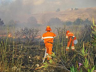 palermo-cracolici-incontra-poletti-sulla-riforma-dei-forestali