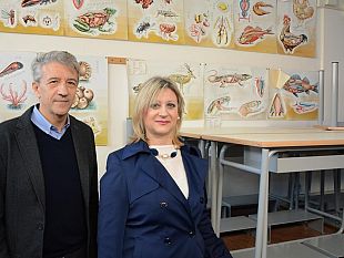 consegnati-stamani-gli-arredi-scolastici-agli-istituti-scolastici-di-competenza-comunale