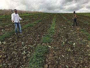 agricoltura-sociale-a-calatafimi-un-progetto-per-la-coltivazione-di-erbe-aromatiche