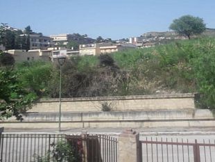 topi-in-casa-e-zecche-in-giardino-la-denuncia-di-una-cittadina-si-faccia-qualcosa-non-possiamo-vivere-cosi