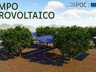 a-favignana-nasce-il-primo-impianto-agrovoltaico-tra-ulivi-e-innovazione-energetica-sostenibile