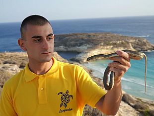 lambientalista-sebastian-colnaghi-alla-scoperta-dei-serpenti-di-lampedusa