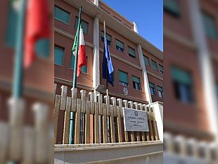 salemi/operazione-black-farm-provvedimento-di-sequestro-per-imprenditore-gibellinese