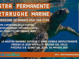 mazara/a-mazara-la-mostra-sulle-tartarughe-marine-organizzata-dal-wwf