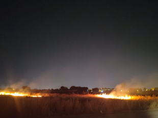 inizia-la-stagione-degli-incendi-fiamme-nei-pressi-del-quartiere-mazara-2