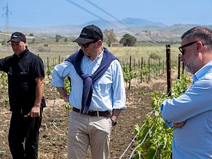 trapani-feudo-del-balio-al-merano-winefestival-2025