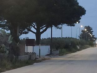marinella-da-ieri-e-tornata-ad-illuminarsi-la-via-cavallaro