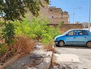 mazara-lavori-di-discerbatura-e-pulizia-delle-strade-attenzione-ai-divieti-di-sosta-con-rimozione-forzata