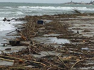 mazara-detriti-dal-fiume-delia-sulla-spiaggia-di-tonnarella-chi-ha-controllato-interverra-forse-il-gruppo-attila