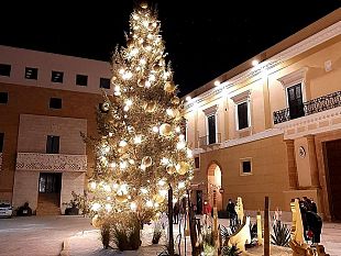 mazara-finalmente-un-bellalbero-di-natale-in-piazza-repubblica-realizzato-con-il-sostegno-di-privati-e-forestale