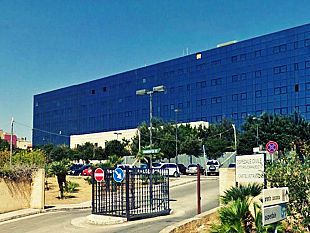 vaccara-scrive-al-presidente-mattarella-al-ministro-grillo-e-al-presidente-musumeci