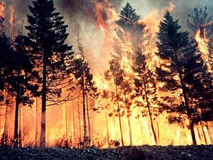 trapani-incendio-erice-fazio-ha-presentato-stamani-una-interrogazione-e-necessario-accertare-se-vi-siano-responsabilita-nei-ritardi-dei-piani-antincendio-boschivo