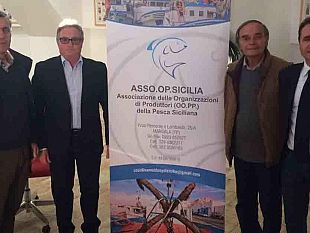 feamp-il-ruolo-delle-organizzazioni-dei-produttori-della-pesca-la-strategia-dell-aggregazione