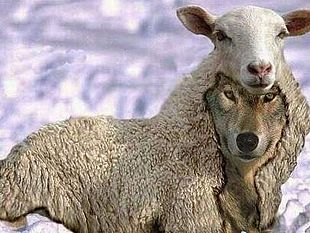 una-punta-di-sal-politica-oggi-lapparenza-nemica-del-fare