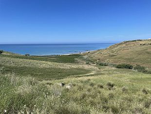 menfi-conferenza-stampa-e-degustazione-sui-vini-di-menfi