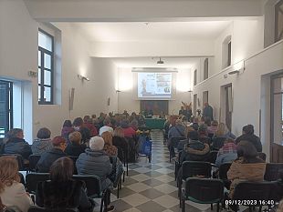 mazara/incontro-di-formazione-sinodale-sulla-disabilita-per-le-comunita-germoglio-di-speranza-e-arcobaleno-di-mazara-e-salemi