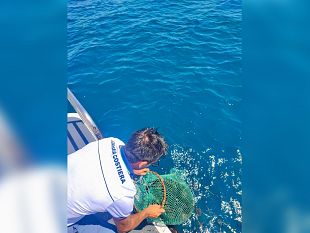 mazara/mazara-pesca-abusiva-dei-ricci-di-mare-operazione-congiunta-di-guardia-costiera-e-carabinieri